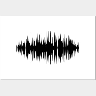 WAVEFORM Posters and Art